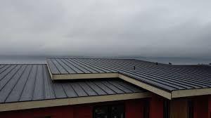 Best Rubber Roofing (EPDM, TPO)  in Waterloo, WI